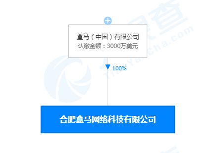 合肥盒馬網絡科技公司成立，注冊資本3000萬美元聚焦網絡信息技術